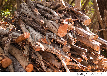 たきぎ 2715045