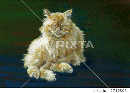 ぺちゃ猫 2716305
