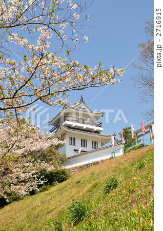 大野城と桜 大野城と桜 2716915