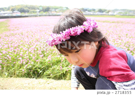 花冠（3） 2718355