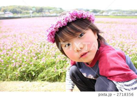 花冠（4） 2718356