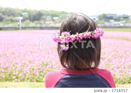 花冠（5） 2718357