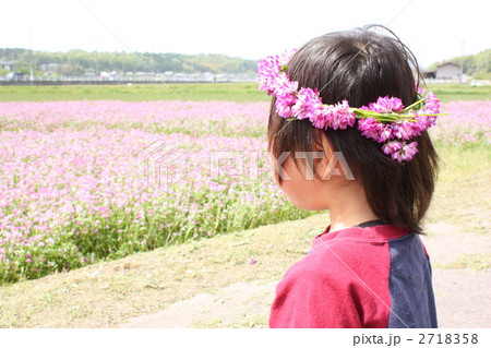花冠（6） 2718358