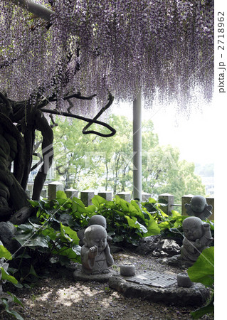 吉祥寺 　藤 2718962