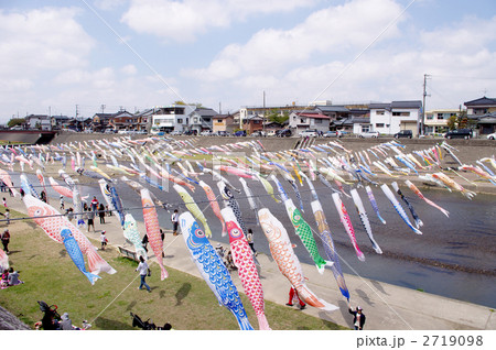 こいのぼり2 こいのぼり2 2719098