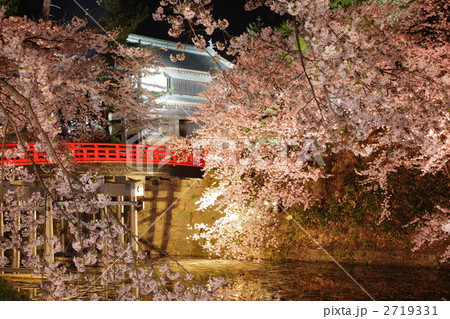 水辺の夜桜 - 弘前公園2011（杉の大橋） 2719331