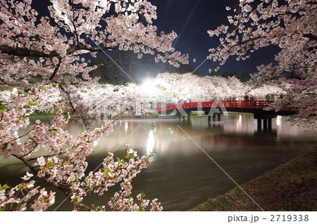 水辺の夜桜 - 弘前公園2011（西濠～春陽橋） 2719338