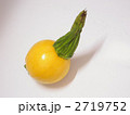 丸いズッキーニ 2719752
