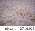 米こうじ 2719805