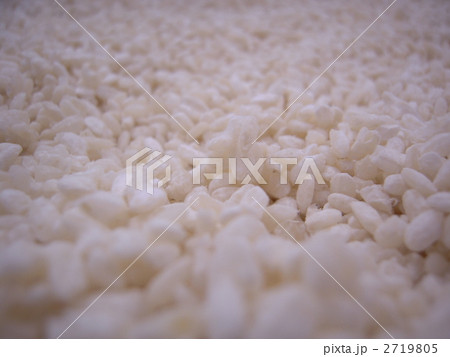 米こうじ 米こうじ 2719805