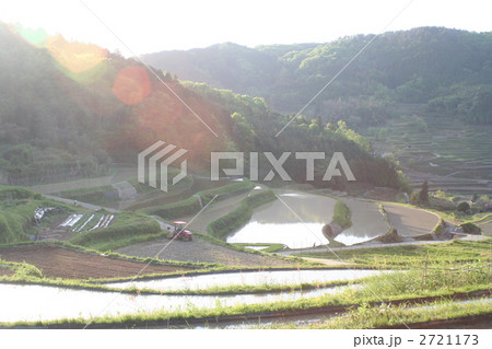 佐用町の棚田の写真素材