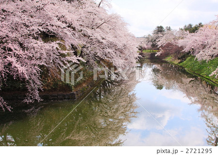 春の桜満開の弘前城公園のお堀 春の桜満開の弘前城公園のお堀 2721295