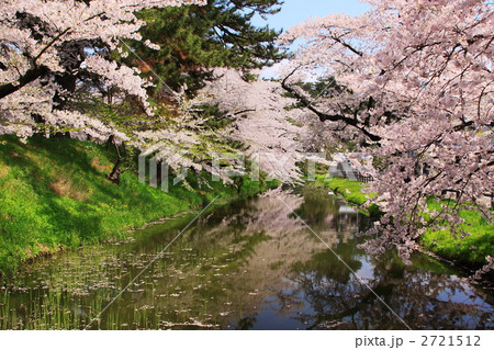 春の桜満開の弘前城公園のお堀 2721512