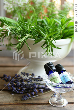 ハーブとエッセンシャルオイル ハーブとエッセンシャルオイル 2721654