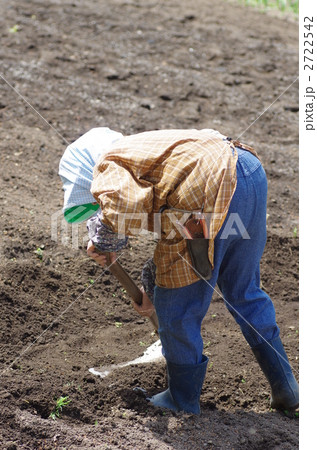 春の畑 春の畑 2722542