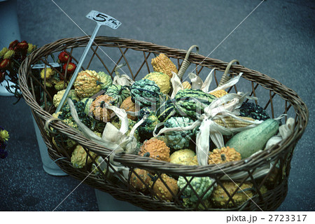 66064 ミニカボチャ 66064 ミニカボチャ 2723317