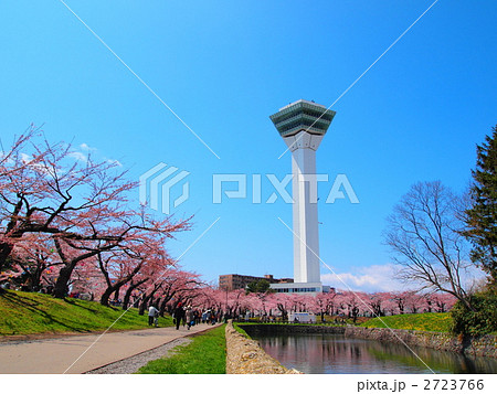 五稜郭公園 2723766