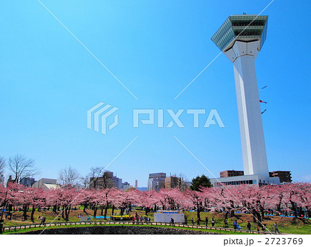 五稜郭公園 2723769