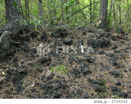 樹海の溶岩 2724142