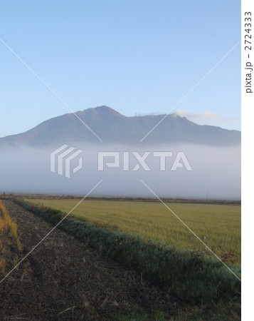 朝霧に筑波山＜縦＞ 2724333