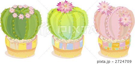 丸サボテンのイラスト素材