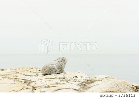 蛙の石像　二見 2726113