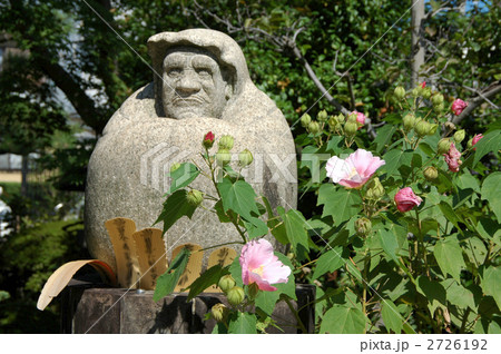 京都 法輪寺(だるま寺)の芙蓉 京都 法輪寺(だるま寺)の芙蓉 2726192