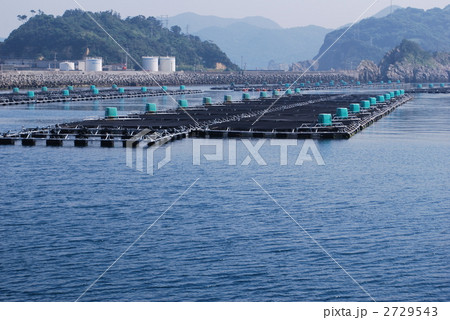 保戸島養殖いかだ 2729543