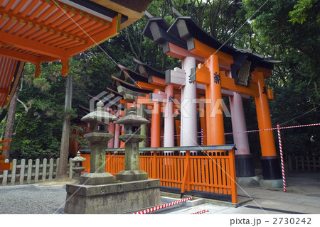 伏見稲荷大社　千本鳥居 2730242