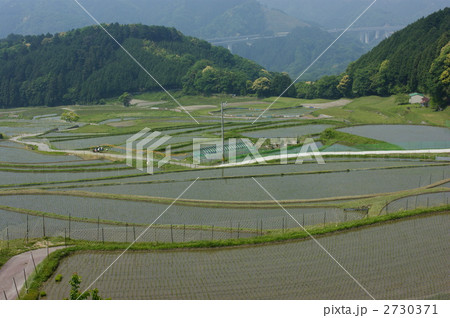 坂本の棚田 2730371