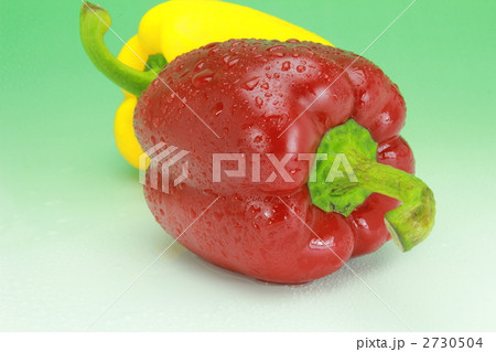 パウリカ 2730504