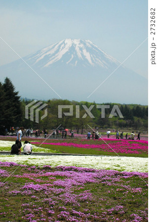 富士芝桜と富士山 2732682