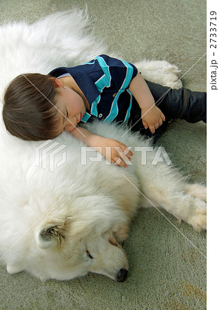 犬と男の子 2733719