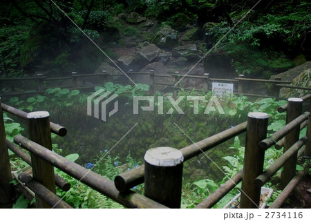 上林森林公園　風穴 2734116