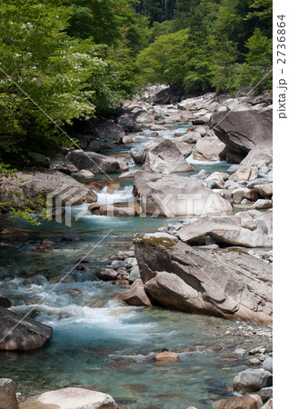 阿寺川の清流 2736864