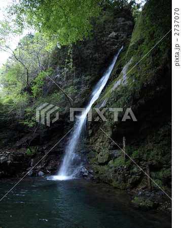 琵琶の滝 の写真素材