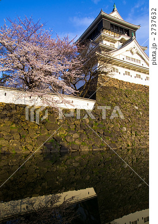 小倉城と満開の桜と青空 2737632
