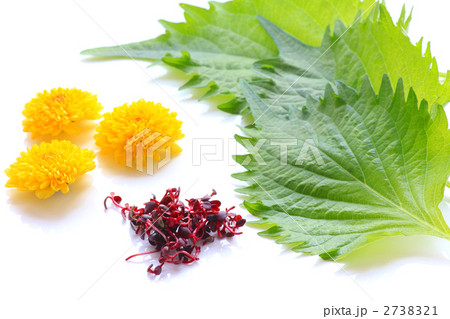 ツマいろいろ 2738321