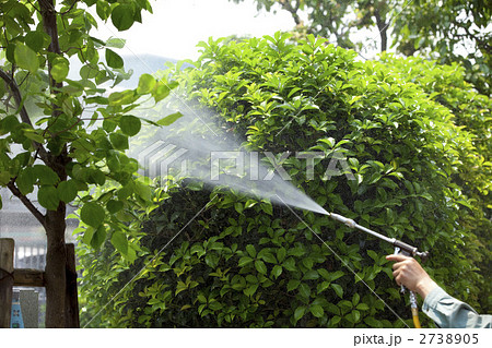 害虫駆除 害虫駆除 2738905