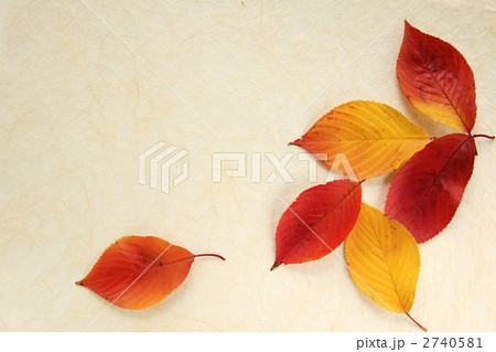 背景・落葉02 背景・落葉02 2740581