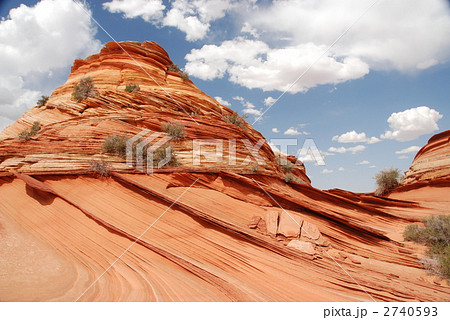 コヨーテビュート２ 2740593