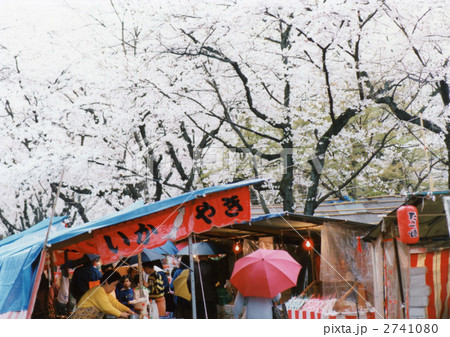 桜見13 2741080