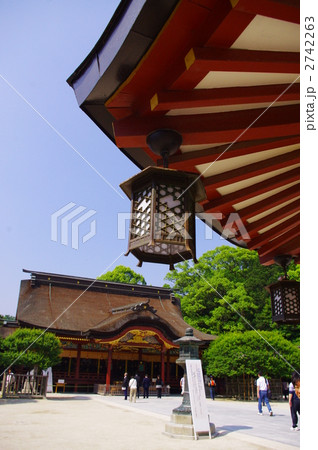 新緑の太宰府天満宮 新緑の太宰府天満宮 2742263