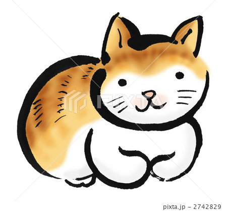 茶色の猫 2742829