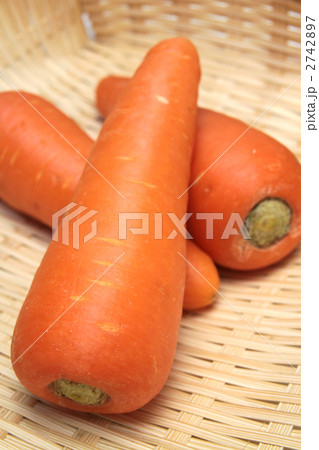 人参　縦位置 2742897