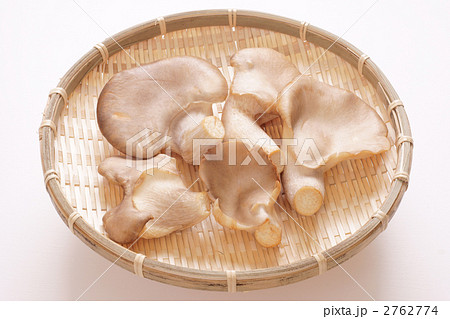 あわび茸 2762774