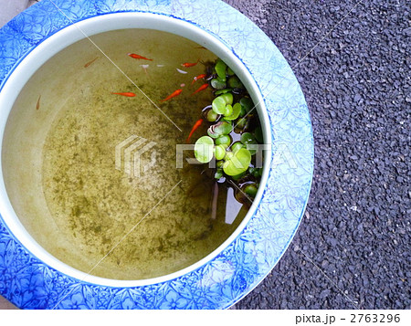 ビオトープ 2763296