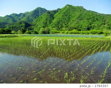 水田 水田 2764307