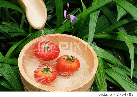 流水で冷やしたトマト 流水で冷やしたトマト 2764785
