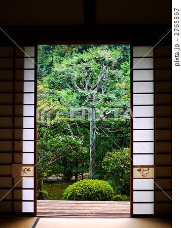 京都 東福寺 塔頭 芬陀院 障子越しの方丈南庭 京都 東福寺 塔頭 芬陀院 障子越しの方丈南庭 2765367